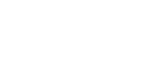 Penguin King